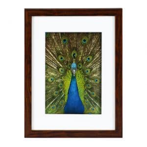 Fotolijst PINO Mahagoni goldbuch_900713