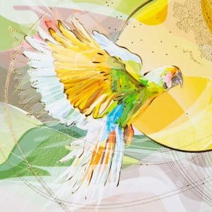 Fotoalbum Parrot - 2 rings - 28x25,5 cm - Afbeelding 3