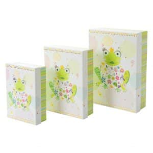 Kartonnen dozenset Gelukkige Kikker | 3 stuks - Afbeelding 4