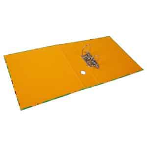 A4 ordner Sunflower - 2 ringen - Groen - Afbeelding 4